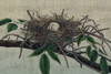 Nesting III Poster Print - John Butler