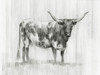 Rustic Bovine I Poster Print - Ethan Harper