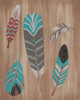 Driftwood Feathers I Poster Print - June Erica Vess