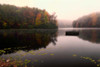 Still of the Lake Poster Print - Danny Head