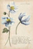 Garden Studies III Poster Print - Grace Popp