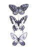 Monochrome Butterflies I Poster Print - Grace Popp
