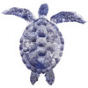 Marine Turtle I Poster Print - Grace Popp