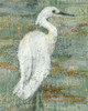 Textured Heron II Poster Print - Jennifer Goldberger