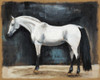 Equestrian Studies VI Poster Print - Naomi McCavitt