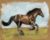 Equestrian Studies I Poster Print - Naomi McCavitt