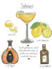 Classic Cocktail - Sidecar Poster Print - Naomi McCavitt