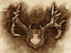 Rustic Antler Mount I Poster Print - Ethan Harper
