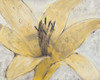 Transparency Flower I Poster Print - Tim OToole