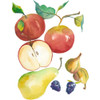 Harvest Medley II Poster Print - Chariklia Zarris