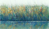 Wildflower Reflection I Poster Print - Tim OToole