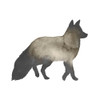 Sepia Animal Silhouette II Poster Print - Grace Popp