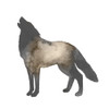 Sepia Animal Silhouette V Poster Print - Grace Popp