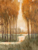 Golden Forest I Poster Print - Tim OToole