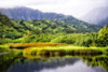Coastal Marsh II Poster Print - Danny Head