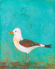 Vibrant Shorebird III Poster Print - Mehmet Altug
