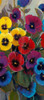 Pansy Panel II Poster Print - Tim OToole