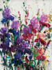 Iris Blooming II Poster Print - Tim OToole
