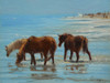 Chincoteague Ponies Poster Print - Chuck Larivey