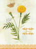 Flower Study on Lace XI Poster Print - Elissa Della-Piana