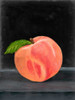 Fruit on Shelf VIII Poster Print - Naomi McCavitt