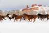 Snow Run III Poster Print - PHBurchett