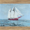 Seagrass Nautical I Poster Print - Naomi McCavitt