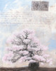 Springtime Memories II Poster Print - Naomi McCavitt