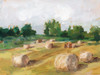 Hay Field I Poster Print - Ethan Harper