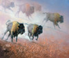 Plains Thunder Poster Print - Jack Sorenson