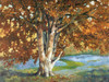 Golden Light II Poster Print - Graham Reynolds