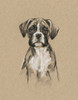 Breed Sketches V Poster Print - Ethan Harper