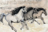 Horses in Motion II Poster Print - Tim OToole