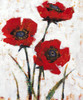 Red Poppy Fresco II Poster Print - Tim OToole