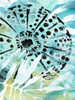 Echinoidia II Poster Print - June Erica Vess