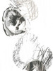 Scribble Stones II Poster Print - June Erica Vess