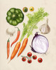 Vegetable Garden II Poster Print - Grace Popp
