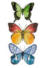 Falling From III Poster Print - Melissa Wang