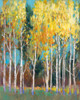 Aspen Grove II Poster Print - Tim OToole