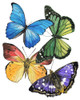 Butterfly Swatches II Poster Print - Melissa Wang