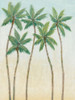 Palm Treeline III Poster Print - Tim OToole