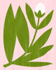Flower Cutting III Poster Print - Grace Popp