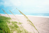 Windy Shores Poster Print - Carson Photography Bill