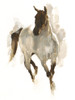 Custom Rustic Horse I Poster Print - Ethan Harper