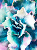 Pastel Succulent Beauty I Poster Print - Irena Orlov
