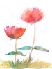 Pink Fleurs II Poster Print - Alicia Ludwig