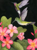 In the Plumeria II Poster Print - Grace Popp