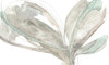 Petal Vortex I Poster Print - Jennifer Goldberger