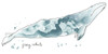 Cetacea Gray Whale Poster Print - June Erica Vess