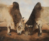 Stand Off II Poster Print - Kathy Winkler
